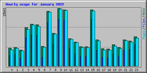 Hourly usage for January 2022