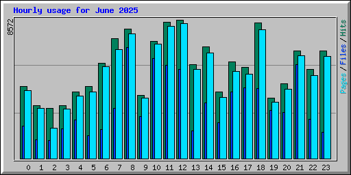 Hourly usage for June 2025