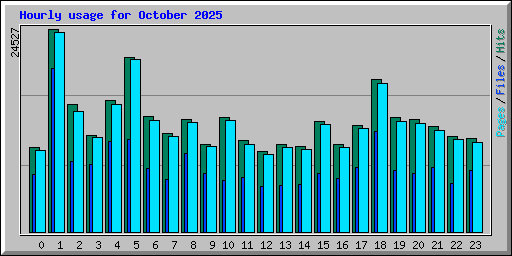 Hourly usage for October 2025