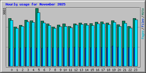 Hourly usage for November 2025