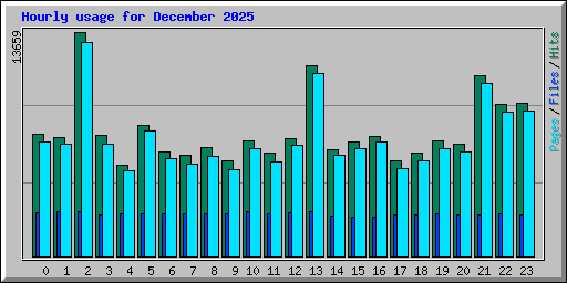 Hourly usage for December 2025