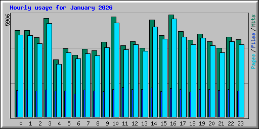 Hourly usage for January 2026