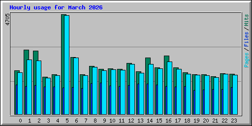 Hourly usage for March 2026