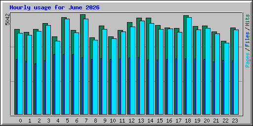Hourly usage for June 2026