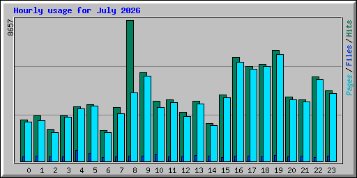 Hourly usage for July 2026