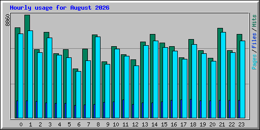 Hourly usage for August 2026