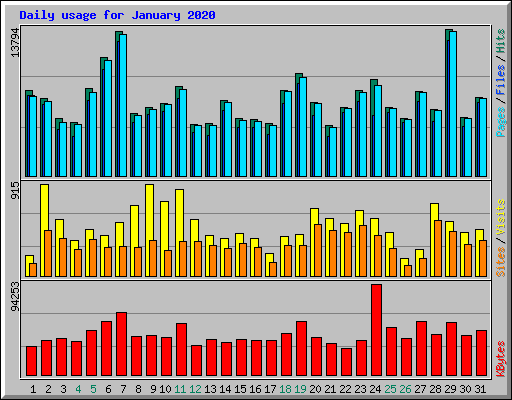 Daily usage for January 2020