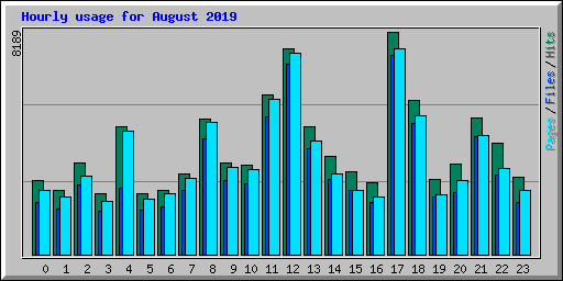 Hourly usage for August 2019