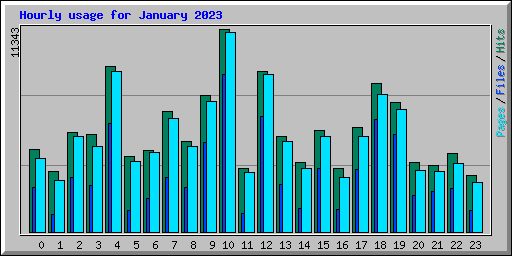 Hourly usage for January 2023