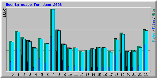 Hourly usage for June 2023