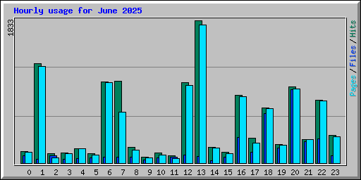 Hourly usage for June 2025