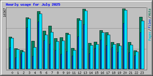 Hourly usage for July 2025