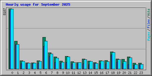 Hourly usage for September 2025