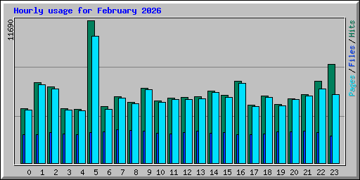 Hourly usage for February 2026