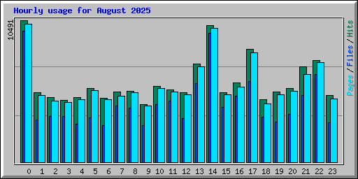 Hourly usage for August 2025